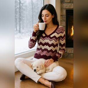 WHBM Chevron Knit Sweater Medium NWOT Burgundy Pink Lightweight V-Neck